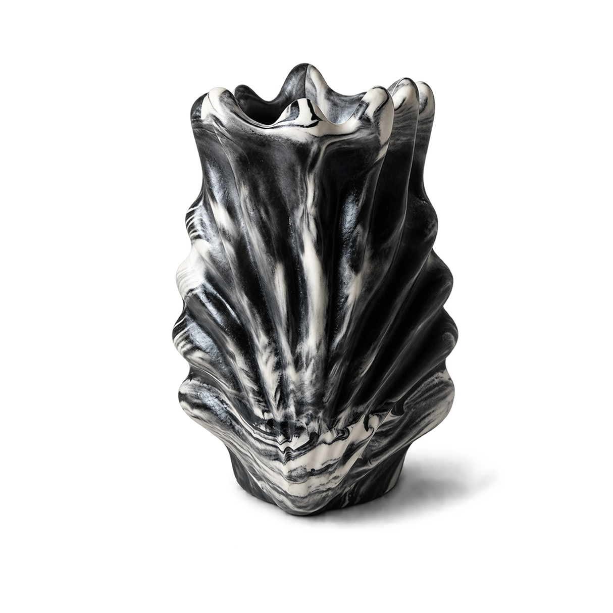 Aphrodite's Shell